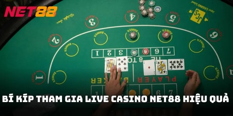 Bí kíp giúp bạn tham gia Live Casino NET88 hiệu quả hơn