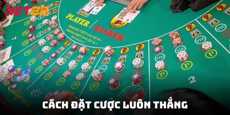 Hướng dẫn chơi Baccarat – Cách đặt cược luôn thắng