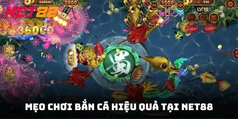 Nâng cao kỹ năng bắn cá NET88 của bạn với những bí quyết độc quyền